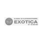 ExoticaGrey